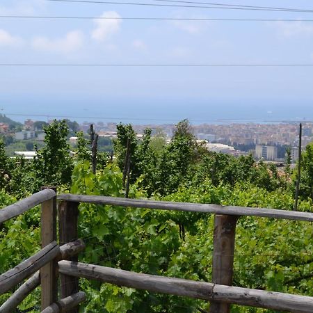 B&B Green Valley Salerno Exteriér fotografie