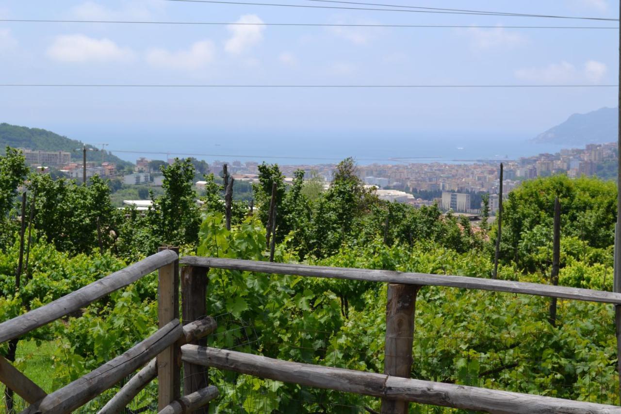 B&B Green Valley Salerno Exteriér fotografie